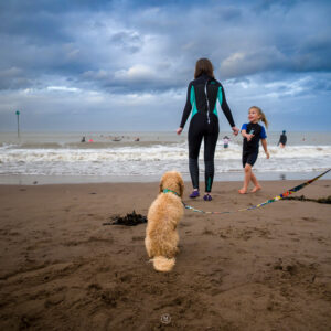 Watching Them Enter the Sea