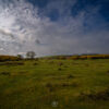Exmoor Landscape