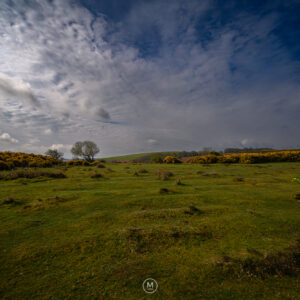 Exmoor Landscape