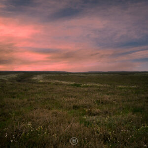 Sunset Somerset salt marsh