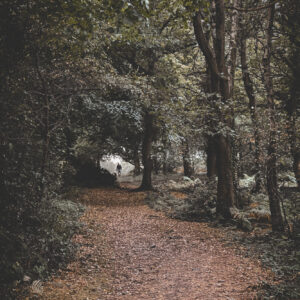 The Path Between Silence