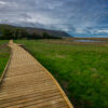 Porlock Salt Marsh