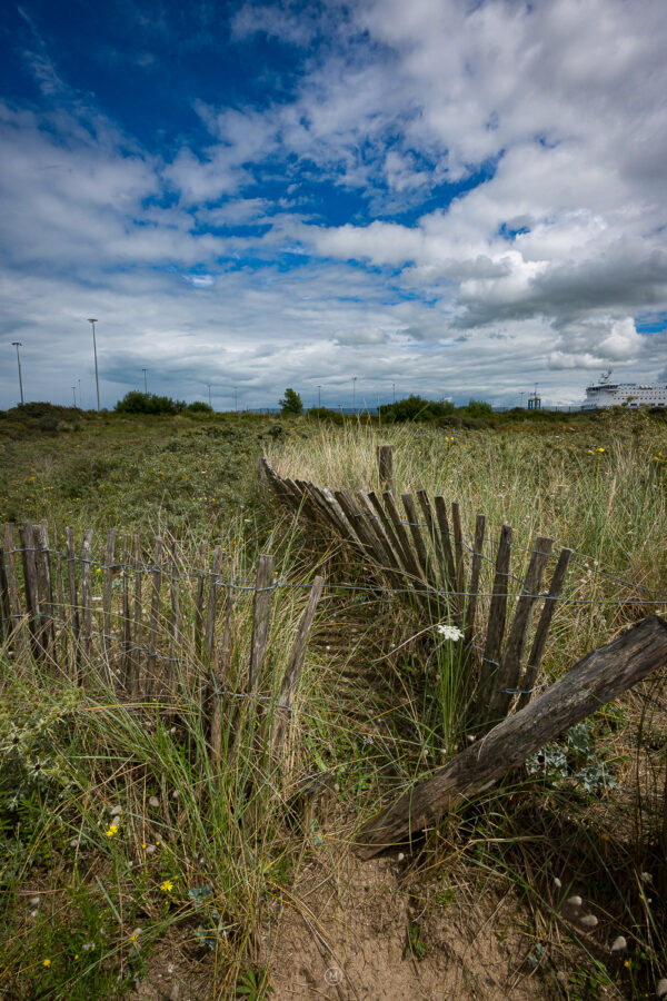 Threshold to the Invisible Shore – Ouistreham Dunes
