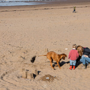 Castles in the Sand