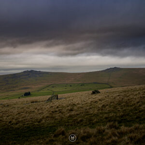 Whispers Across the Moor
