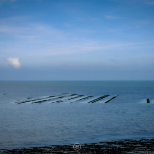 Lines of Tides, Muscle Farm, Normandy
