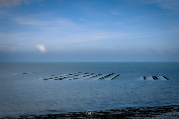Lines of Tides, Muscle Farm, Normandy