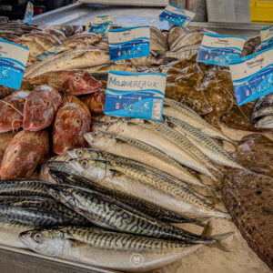 Morning Catch – Ouistreham Market