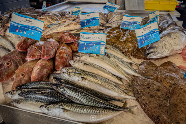 Morning Catch – Ouistreham Market