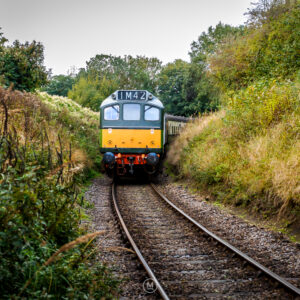 Cutting Through Washford