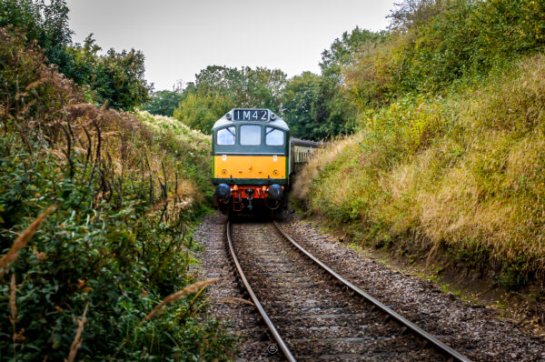 Cutting Through Washford