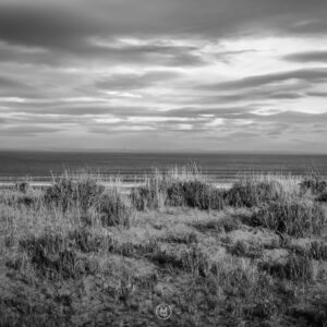 Grassy sand dunes overlooking the sea.