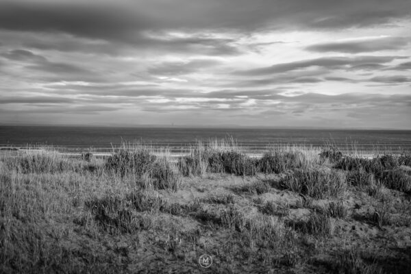 Grassy sand dunes overlooking the sea.