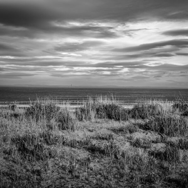 Grassy sand dunes overlooking the sea.