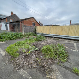 Nature Reclaims: Garden Waste in Minehead Car Park