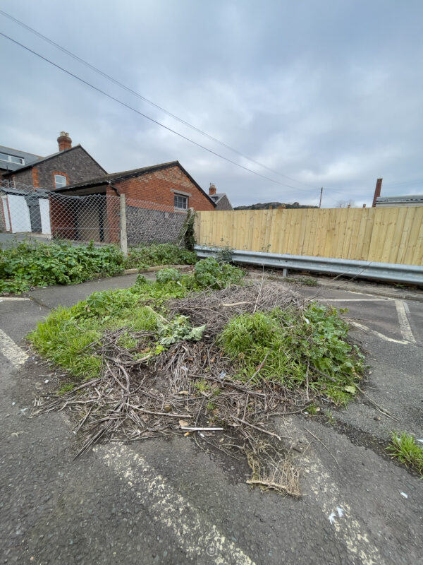 Nature Reclaims: Garden Waste in Minehead Car Park