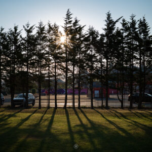 Sunlight Through the Pines: A Glimpse of Butlins Minehead